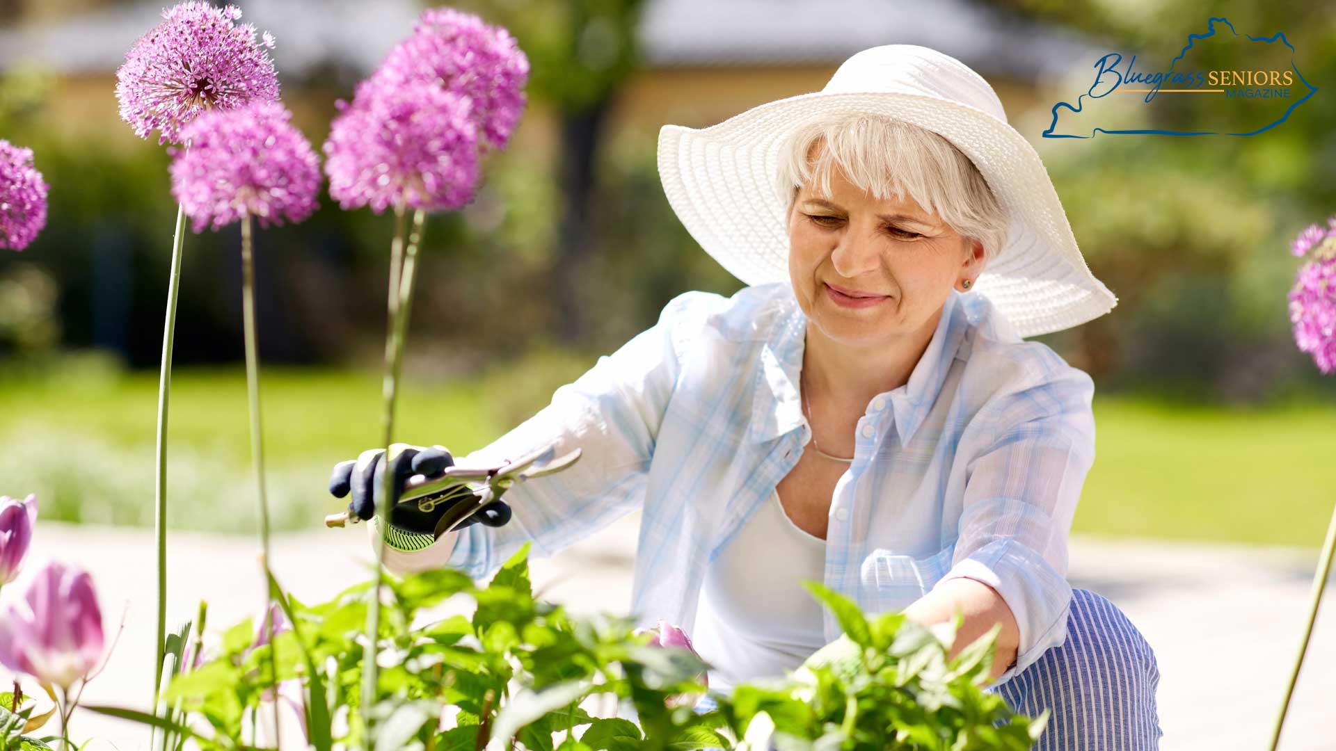 Gardening for health and wellness - Cultivating a better life