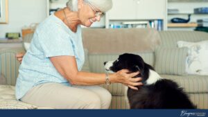 The Power of Pet Therapy - Bluegrass Seniors Magazine