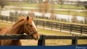 Retirement in the Bluegrass - Spending your golden years in Kentucky