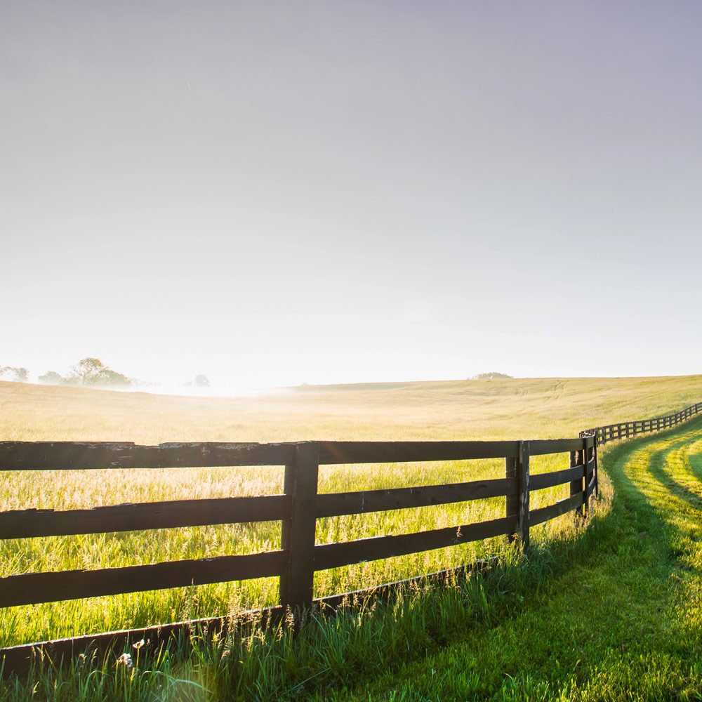 Bluegrass Seniors Magazine, Kentucky